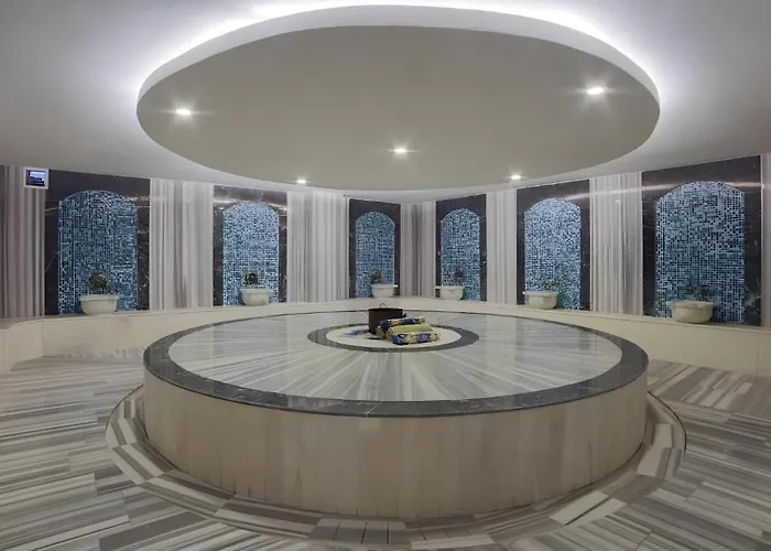 Sea Phoria (adults Only)